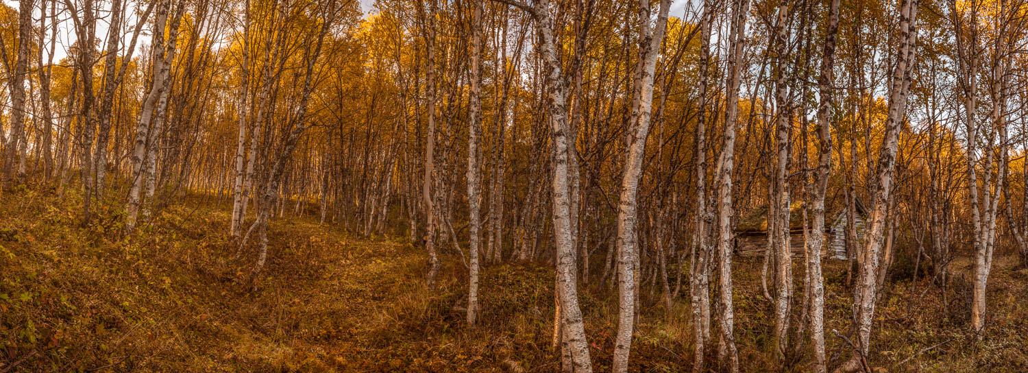 Røros, Sør-Trøndelag, Norway