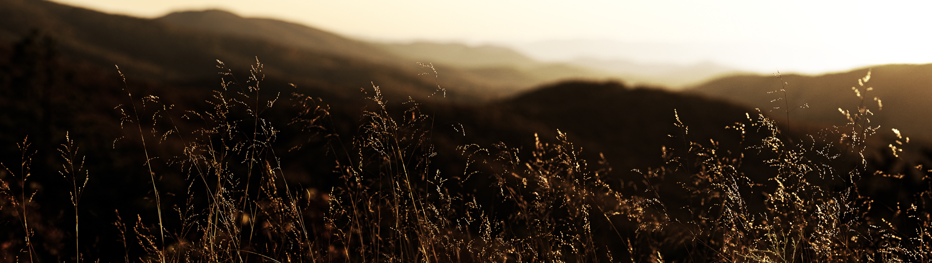 Shenandoah National Park, Waynesboro, Virginia, United States