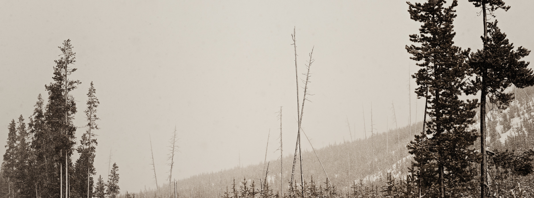 Moran, Wyoming, United States