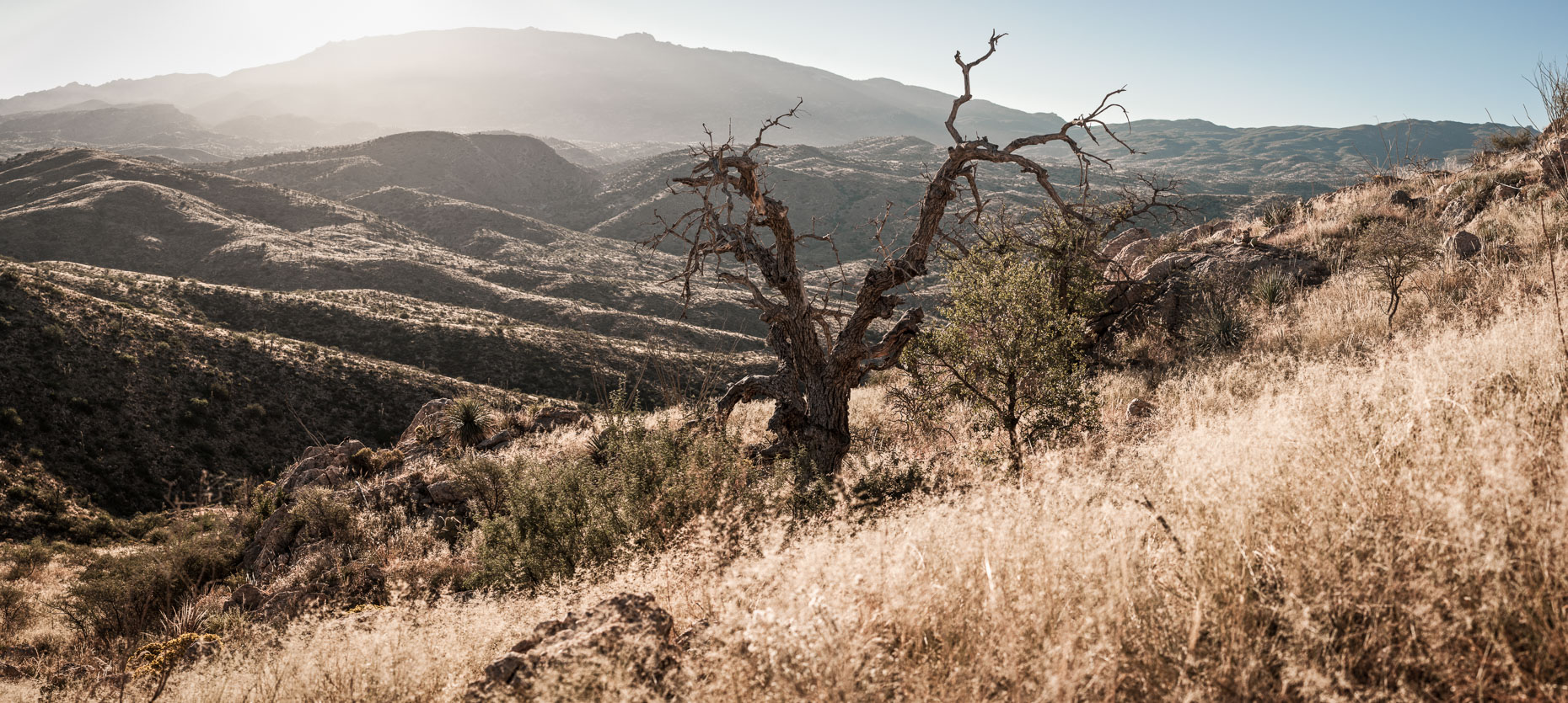 Coronado National Forest, Vail, Arizona, United States