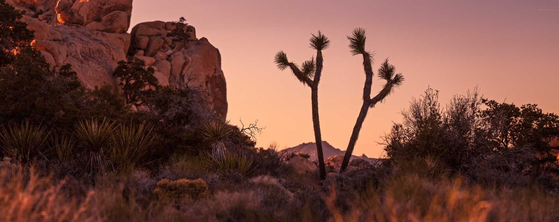 Joshua Tree National Park, Twentynine Palms, California, United States
