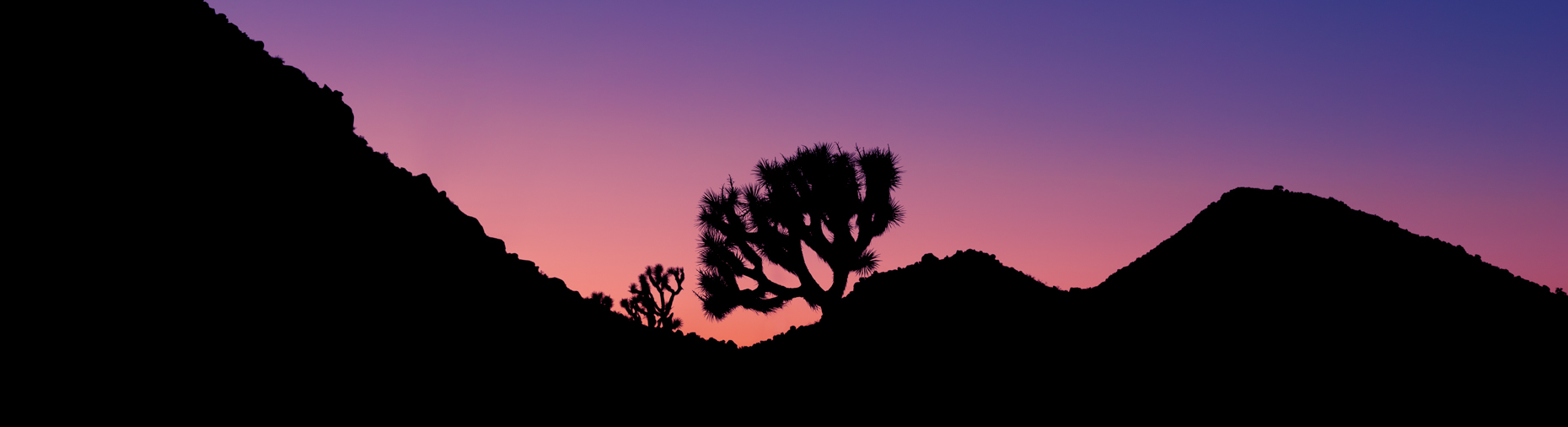 Joshua Tree National Park, Joshua Tree, California, United States