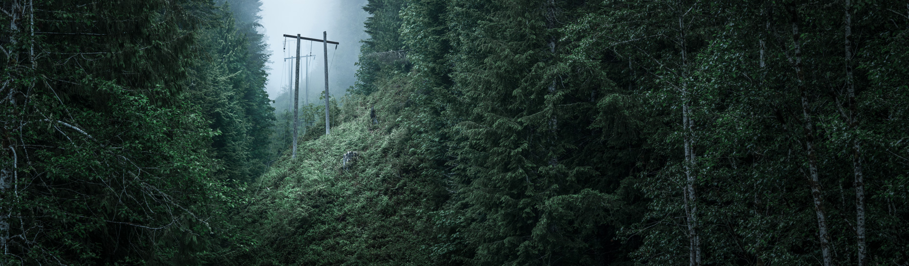 Olympic Discovery Trail, Port Angeles, Washington, United States