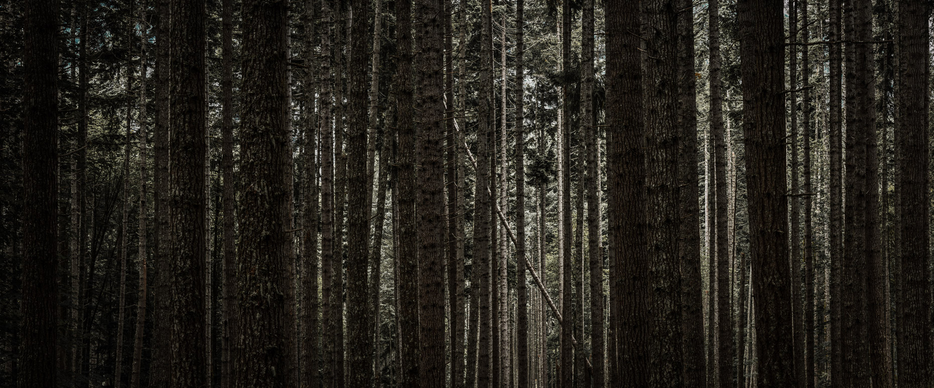 Olympic National Park, Port Angeles, Washington, United States