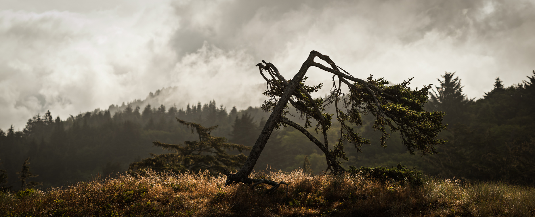 Oregon Coast Highway, Curry County, Oregon, United States