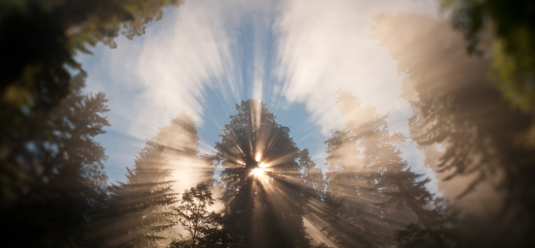 Redwood National and State Parks, Orick, California, United States