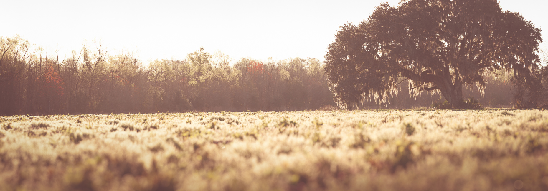 Highway 307, Thibodaux, Louisiana, United States