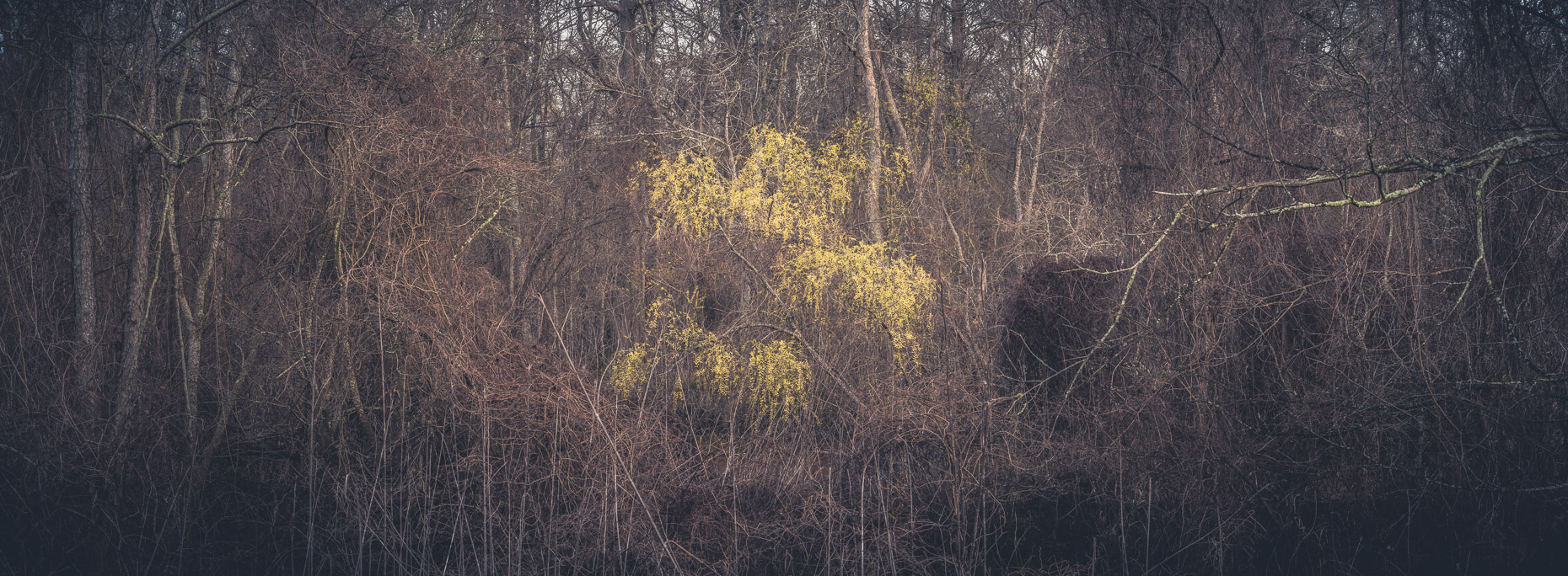 Breaux Bridge, Louisiana, United States