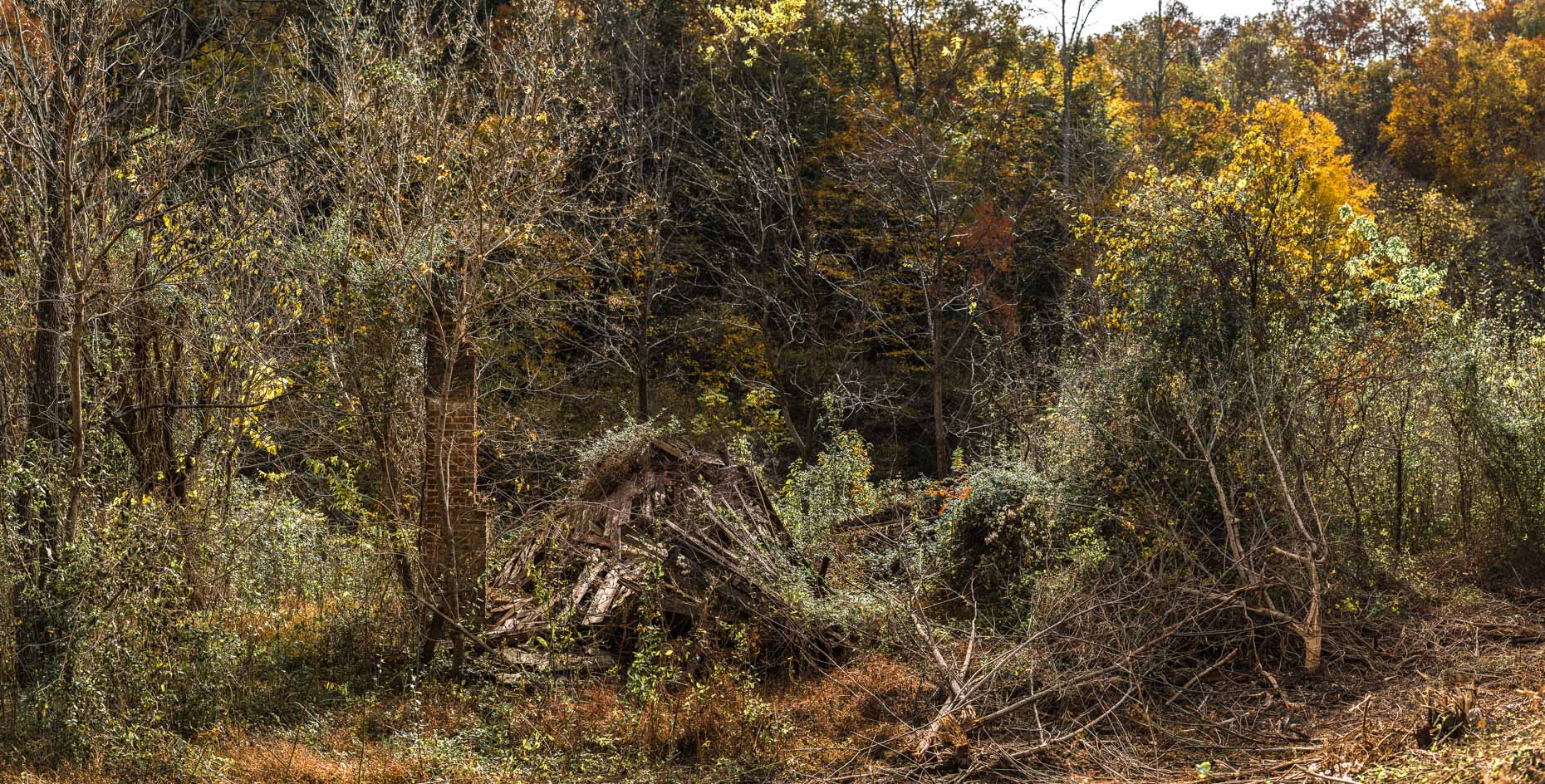 Jones Cove Road, Cosby, Tennessee, United States