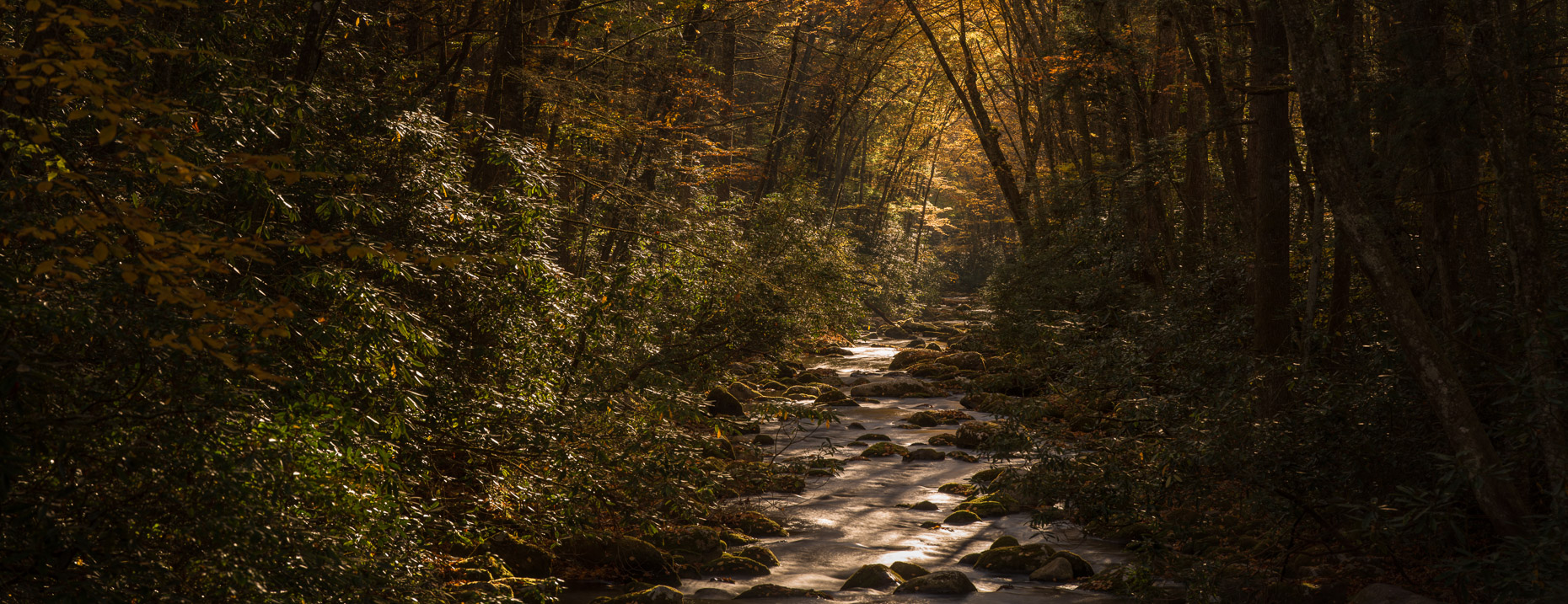 Great Smoky Mountains National Park, Bryson City, North Carolina, United States