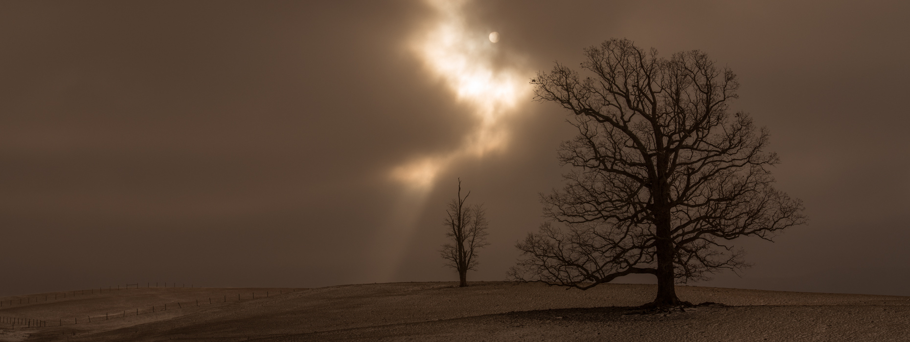 Jefferson National Forest, Tazewell, Virginia, United States