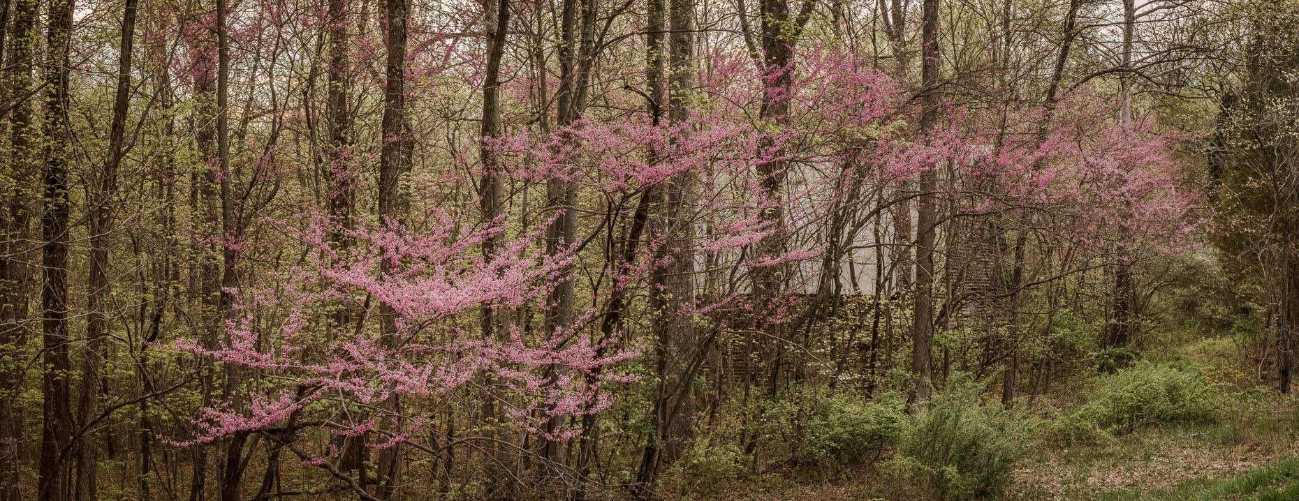 Hoosier National Forest, Paoli, Indiana, United States
