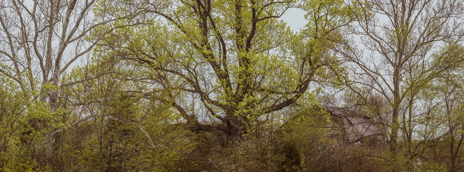 Hoosier National Forest, French Lick, Indiana, United States