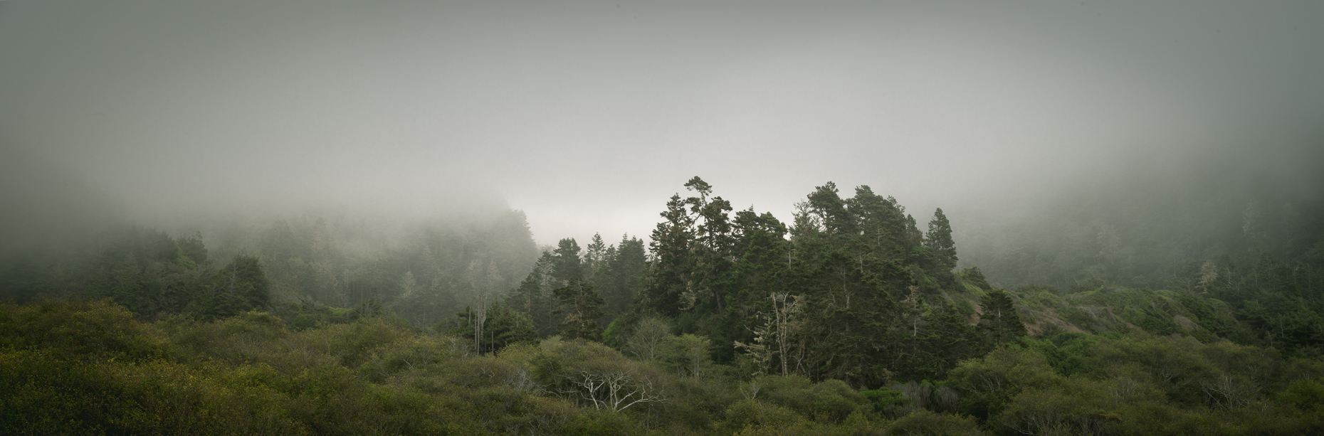 Elk, California, United States