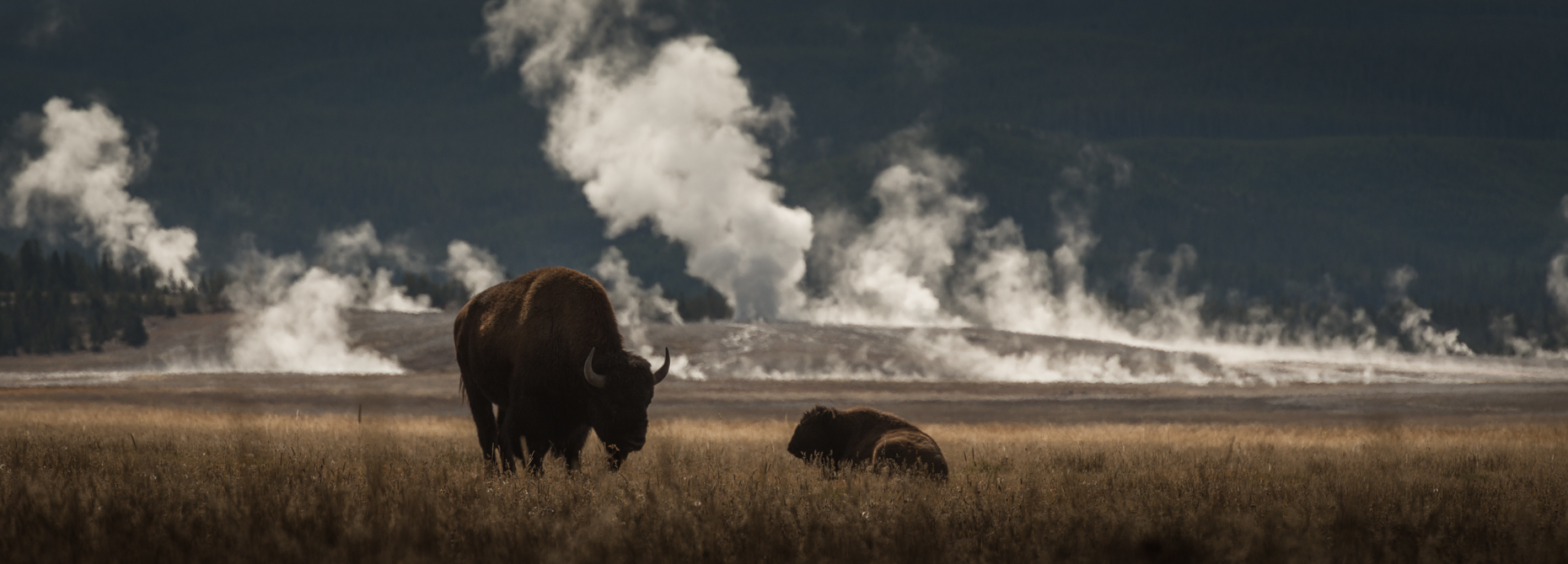 Yellowstone National Park, Wyoming, United States