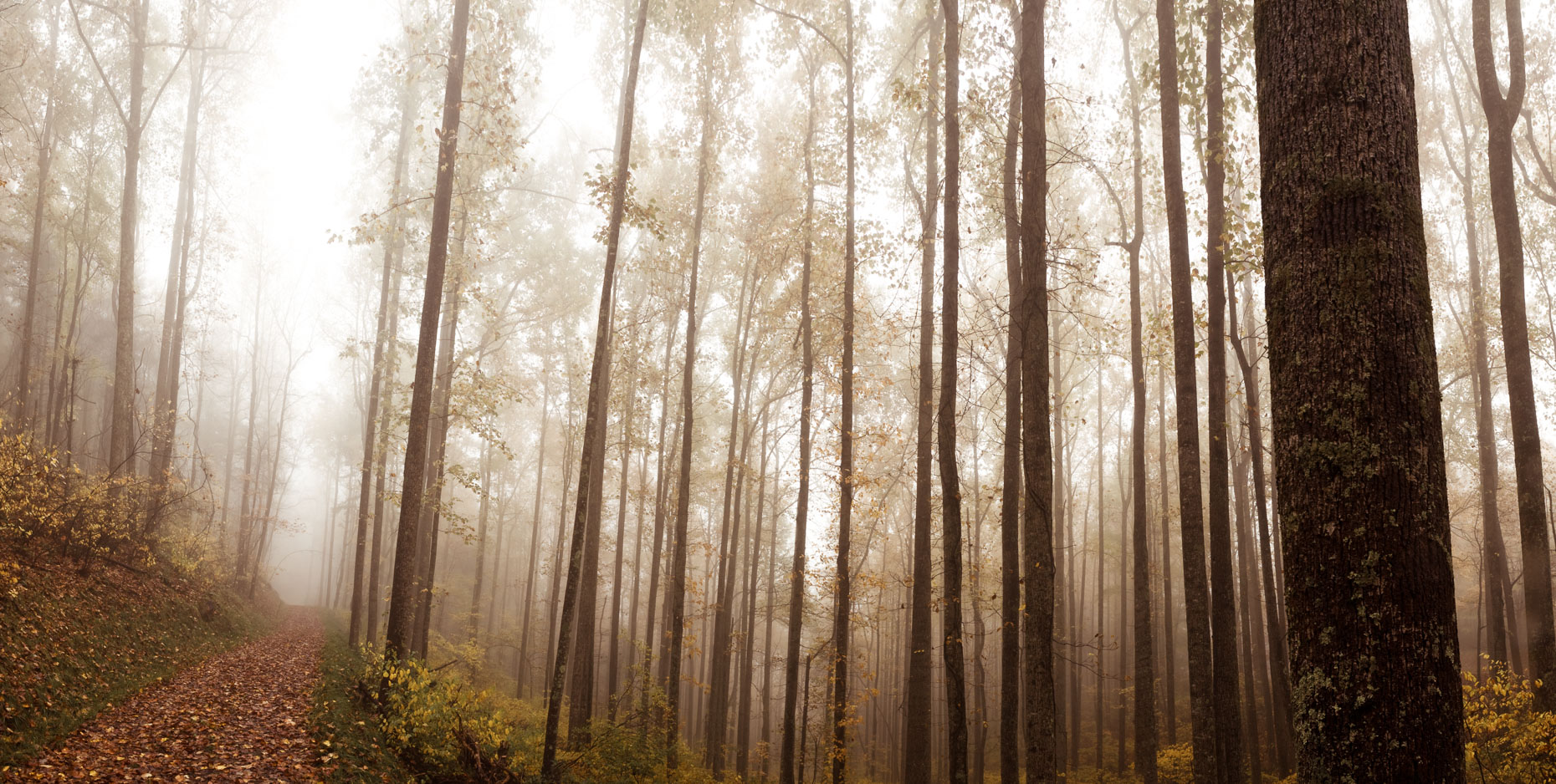Blue Ridge Mountains, Virginia