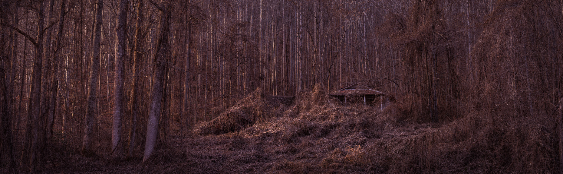 Pennington Gap, Virginia, United States