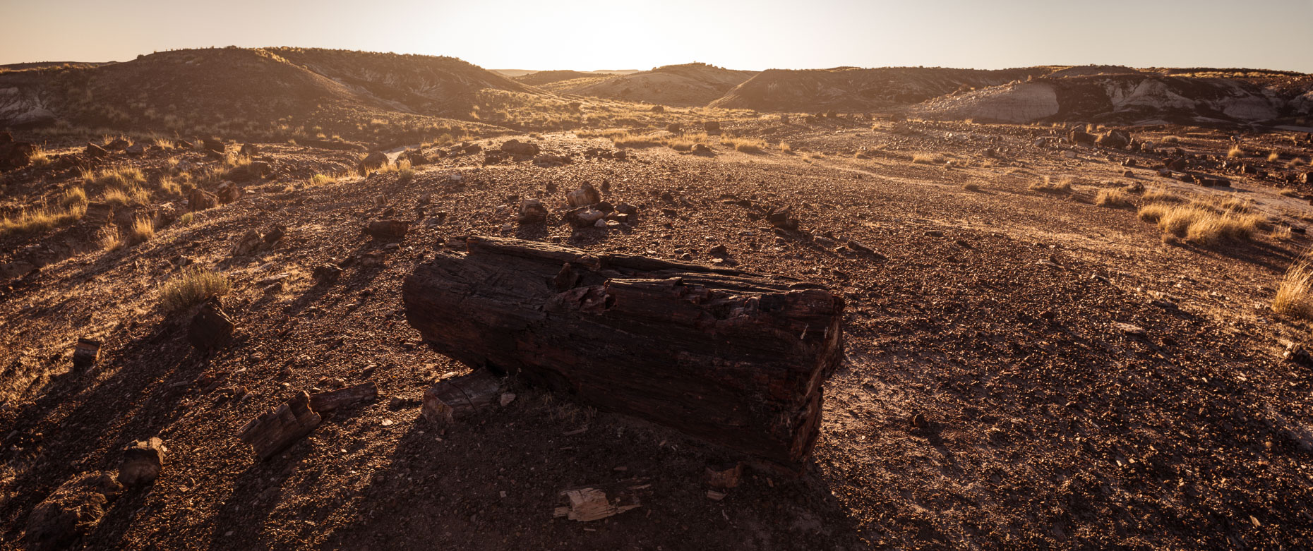 Petrified Forest National Park, Arizona, United States