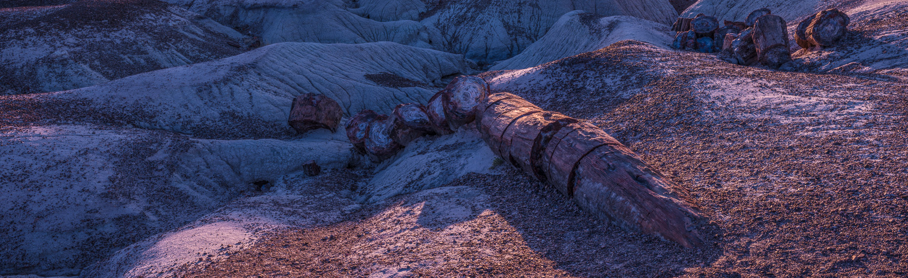 Petrified Forest National Park, Arizona, United States